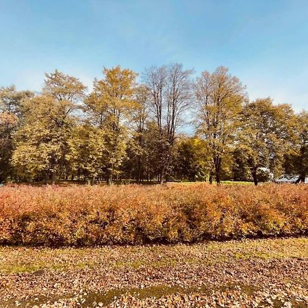 Apartamenty Ktw Silesia City Center - Park Slaski カトヴィツェ エクステリア 写真